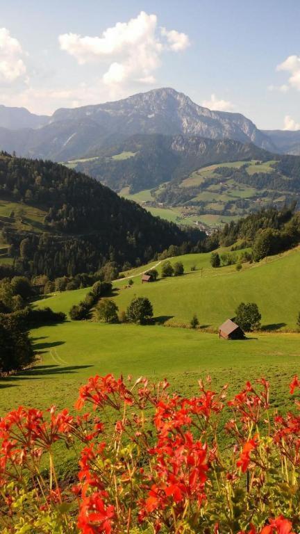 Chalet Leo Michaelerberg Dış mekan fotoğraf